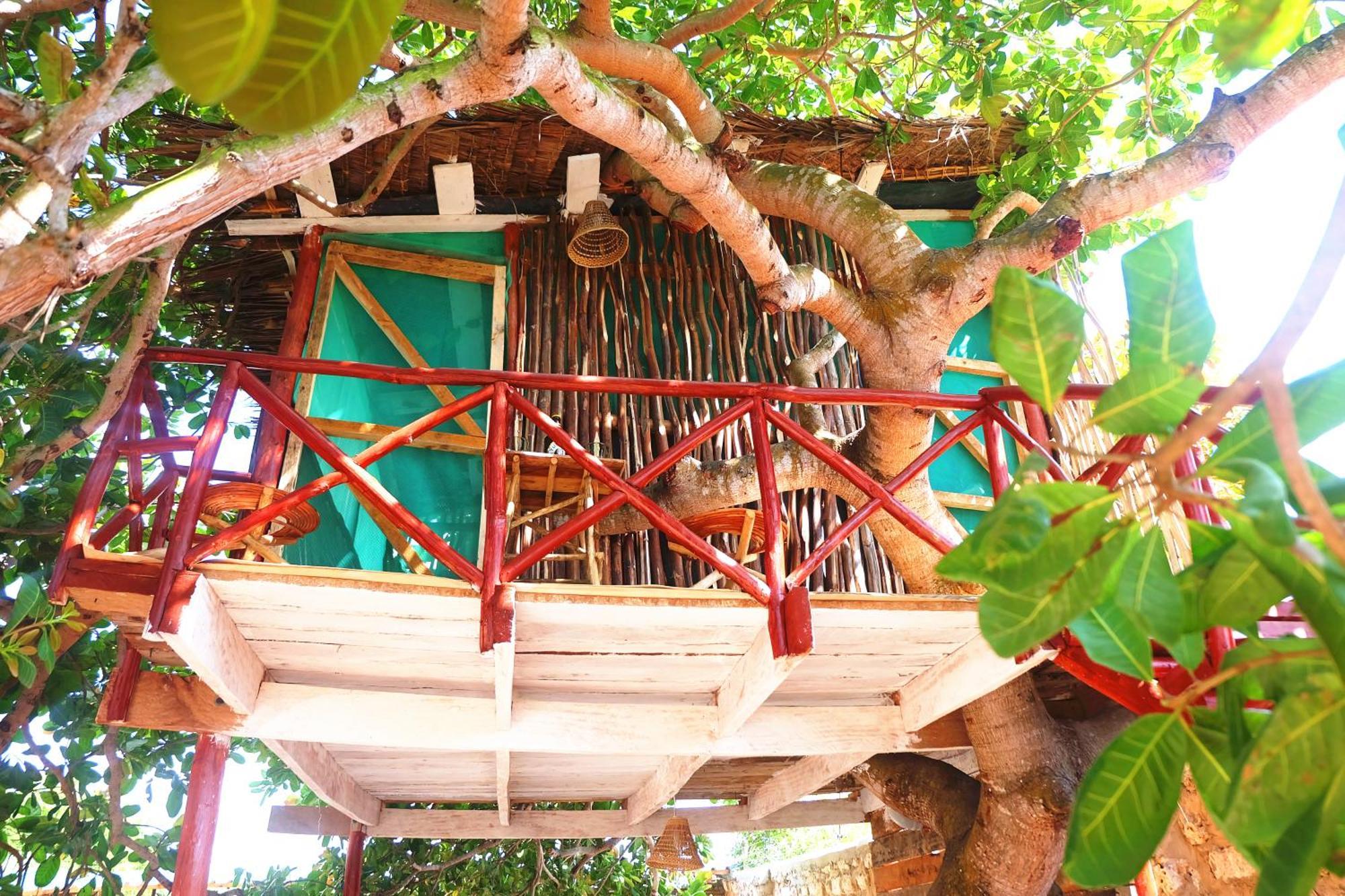 Diani Hostel 디아니 해변 외부 사진
