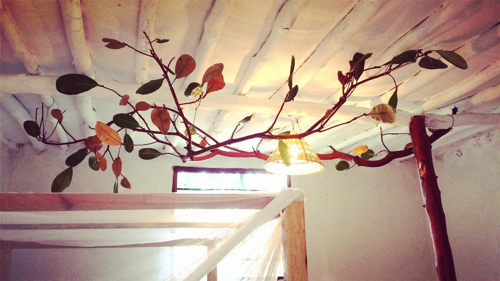 Diani Hostel 디아니 해변 외부 사진