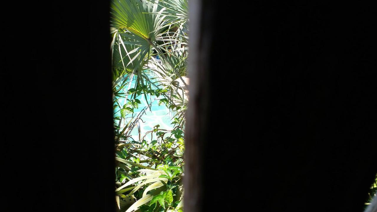 Diani Hostel 디아니 해변 외부 사진
